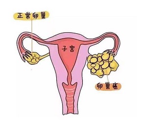 郑州肿瘤中医馆排名