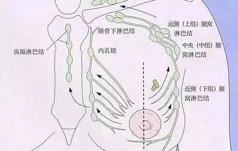 郑州御和堂：中医中药对乳腺癌的治疗上有哪些优势?