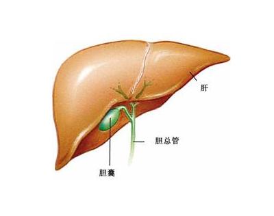 胆囊癌的原因是什么